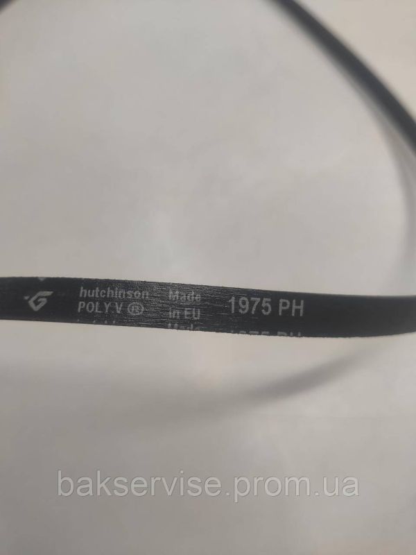 Ремень Hutchinson 1975 PH 1258288107 для сушильной машины Zanussi, Electrolux, AEG (481281728433) 5 РУЧЕЙКОВ